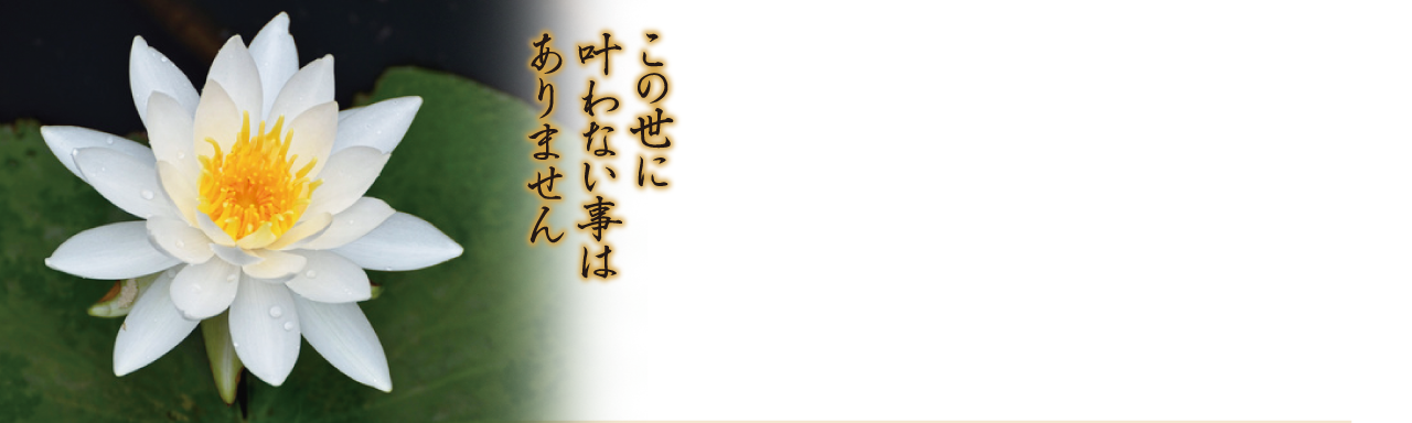 宗教法人法華真行会法華庵神宮寺イメージ
